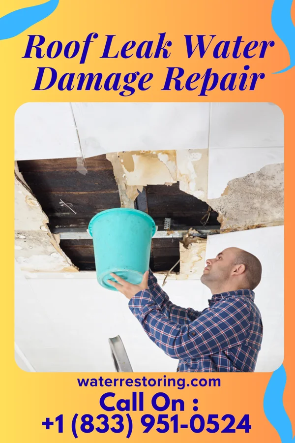 Roof Leak Water Damage Repair in Clifton, VA