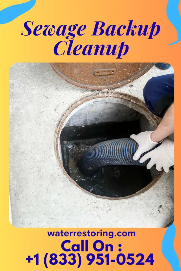Sewage Backup Cleanup in Clifton, VA