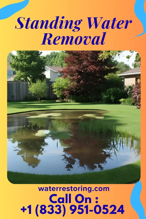 Standing Water Removal in Clifton, VA